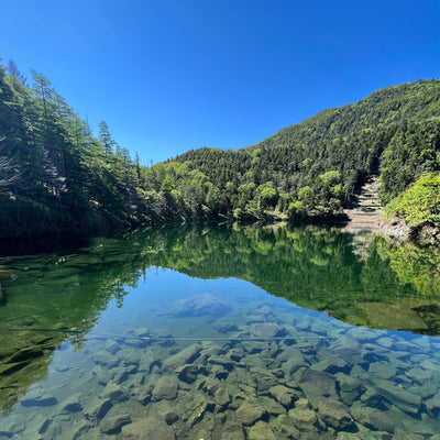 《北八ヶ岳エリアで池めぐり！》都心から日帰り可能◎夏のゆったりハイクにオススメコースをご紹介！