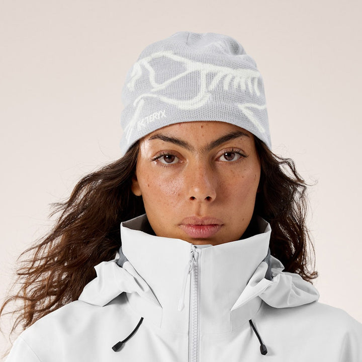 Bird Head Toque バード ヘッド トーク　ビーニー アークテリクス]バード ヘッド トーク / ARC'TERYX