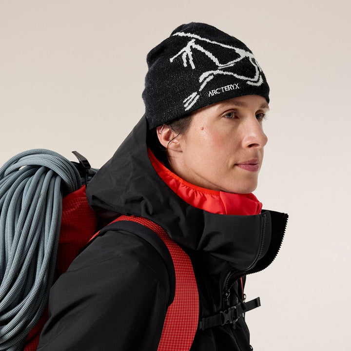 Arc’teryx バードヘッドトーク ビーニー ARC'TERYX(アークテリクス) Bird Head Toque(バード ヘッド