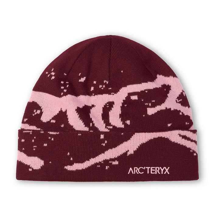 ARC'TERYX グロットトーク ニット帽 黒/ピンク 完売品 2025秋冬】グロット トーク – BAMBOO SHOOTS ONLINE