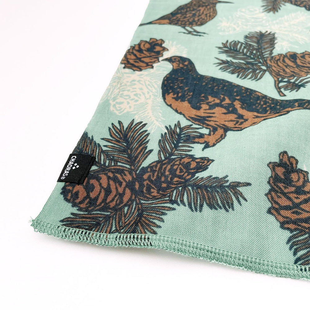 スポーツテヌグイ ライチョウ＆ホシガラス