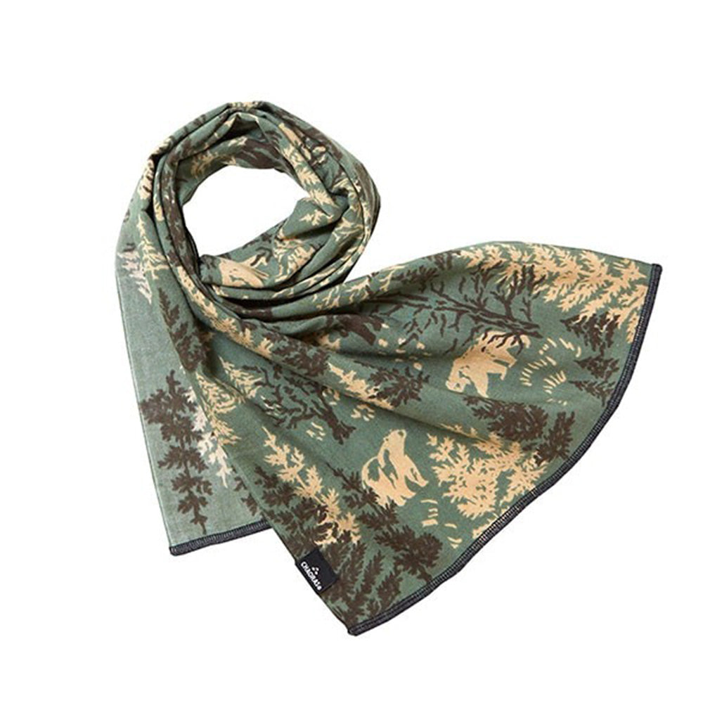 スポーツテヌグイ クマ