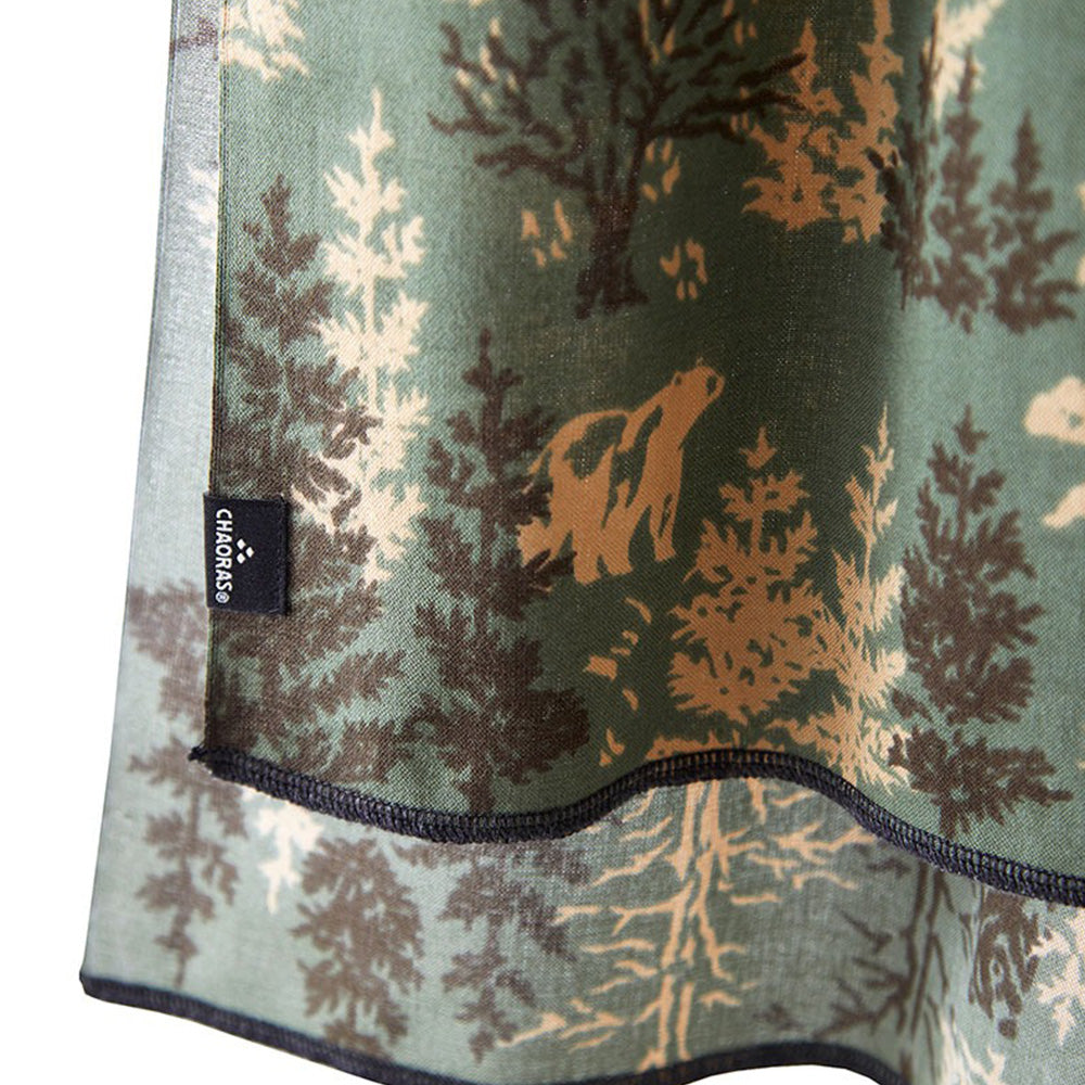 スポーツテヌグイ クマ